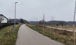 Miniatura zdjęcia: 1