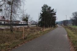 Miniatura zdjęcia: 2